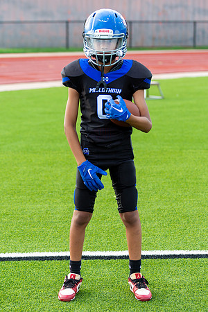Midlo Panther LR Poster-3444