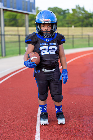 Midlo Panther 7U LR Poster-2-11