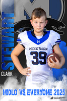 Clark Stewart