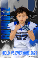 gavin