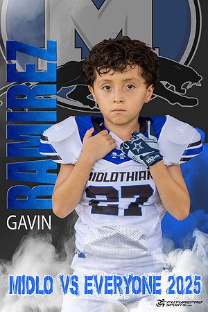 gavin