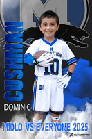 Dominic