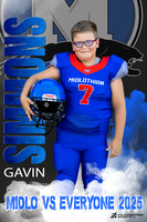 Gavin