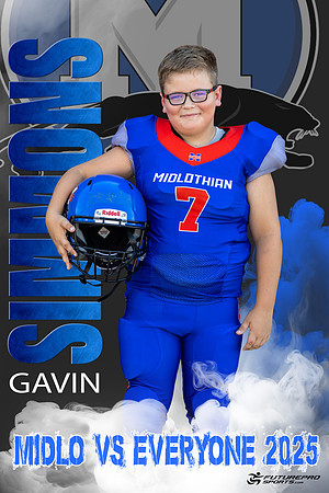 Gavin