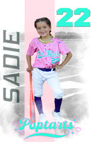 SADIE2