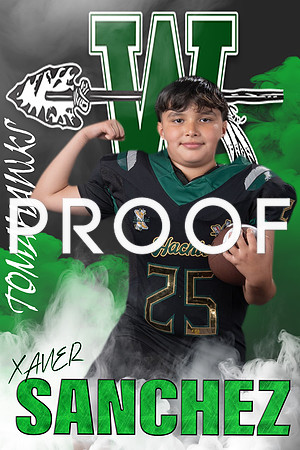 XAVIER2