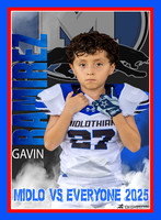 Gavin
