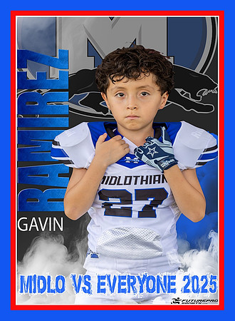 Gavin