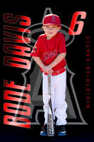 Bode daves stand bat