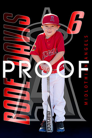 Bode daves stand bat