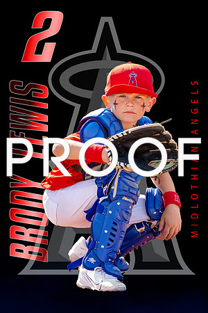 Brody Catcher