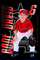 Bode daves field