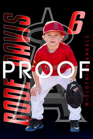 Bode daves field