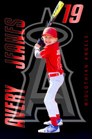 Avery 19 bat2