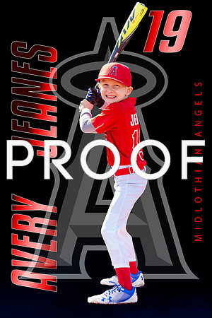 Avery 19 bat2