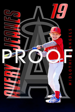Avery 19 bat