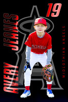 Avery 19 field