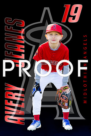 Avery 19 field