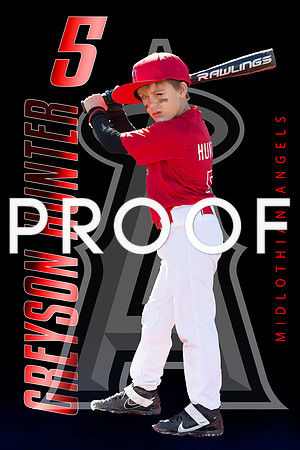 Greyson hunter bat