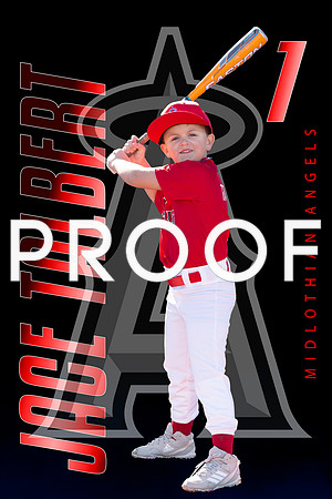 Jacee tolbert bat