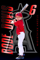 Bode daves bat2