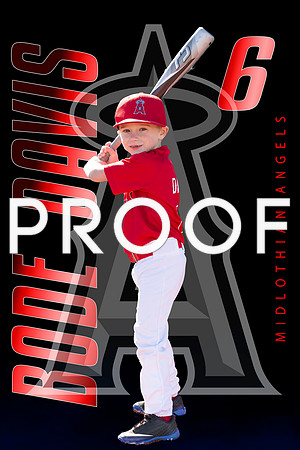 Bode daves bat2
