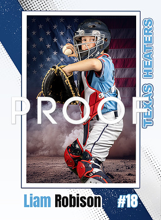 Trading Card Front flag