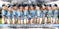 Poster and Pic Samples