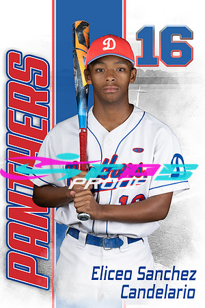Panthers Individual Poster
