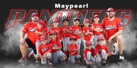 Maypearl TBALL Team Poster
