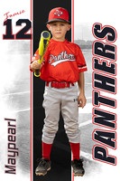 Tball poster template