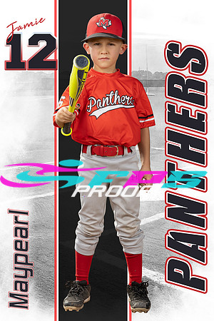 Tball poster template