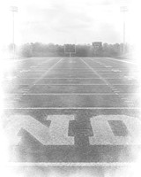 Digital Option 4 White field