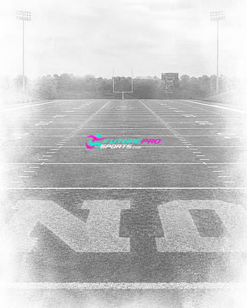 Digital Option 4 White field