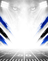 Digital Option 1 Panther eyes 1