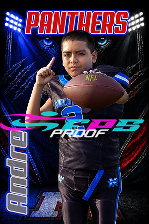 Andre