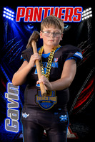 Gavin