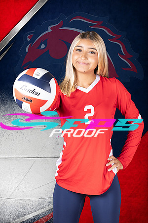 A Digital background choice Red Sample