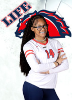 White volley Digigtal Background choice