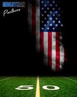 A Panther American flag Digital Background Sample