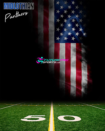 A Panther American flag Digital Background Sample