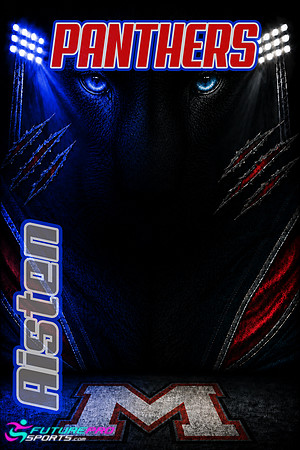 Team POSTER Sample just for FYI purpose