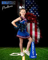 A Cheer Panther American flag Digital  Background Sample
