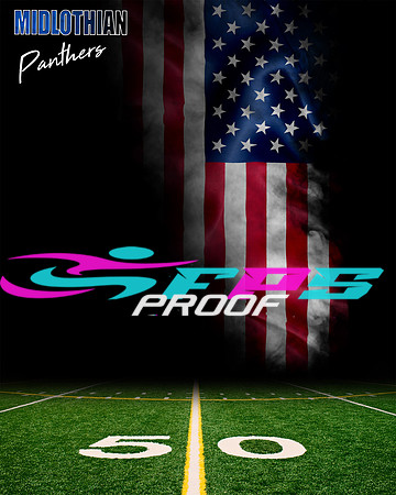 A Panther American flag Digital Background Sample