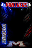 Team POSTER Sample just for FYI purpose