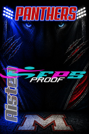 Team POSTER Sample just for FYI purpose