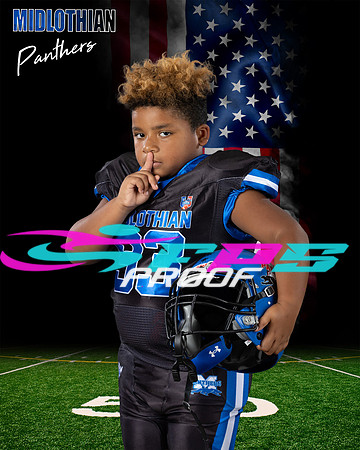 A Football Panther American flag Digital Background Sample