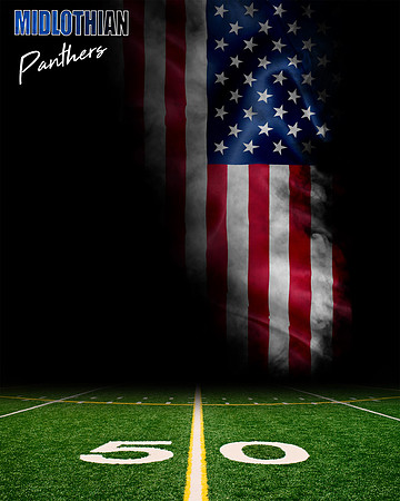 A Panther American flag Digital Background Sample