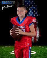 Panther American flag