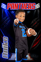 6U Emert POSTERS
